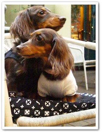 souther_20090611n