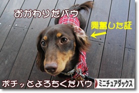 �ˤۤ�֥���¼ ���֥��� �ߥ˥��奢���å����ե�ɤ�