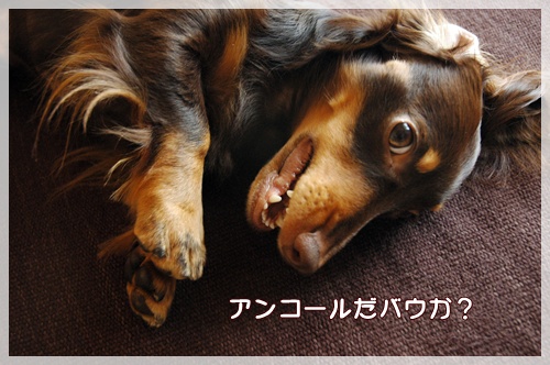 souther_20090929g