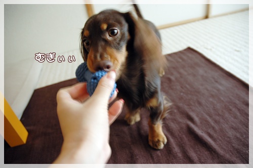 souther_20091109d