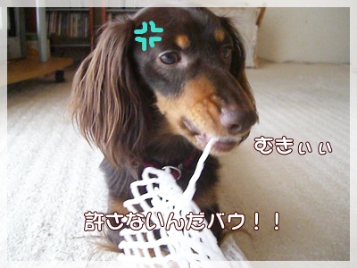 souther_20090630g