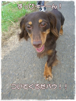 souther_20090706d