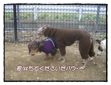 souther_20090331g