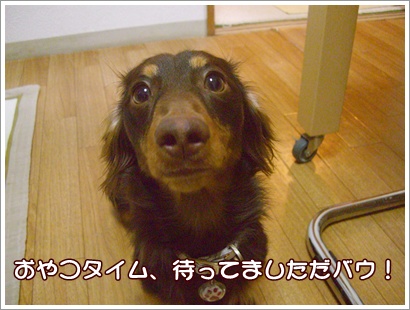 souther_20090226e