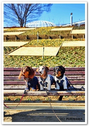 souther_20120317k