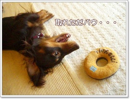 souther_20090626g