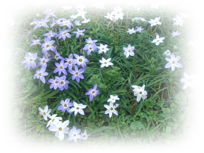 souther_20090328h