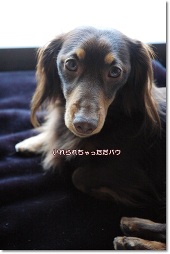 souther_20100426f