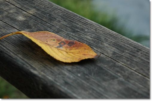 souther_20101101d
