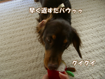 souther_20090114c