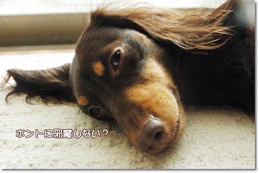 souther_20091208g