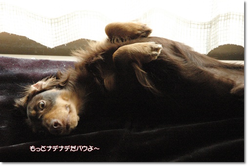 souther_20100225c