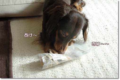 souther_20091224g