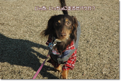 souther_20091226e