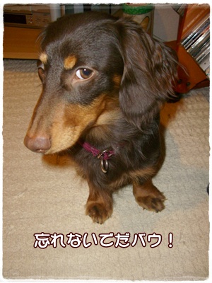 souther_20090227f