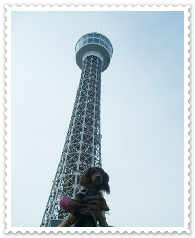 souther_20090708k