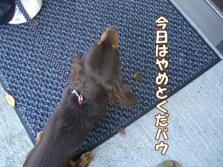 souther_20081206d