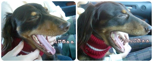 souther_20091201b