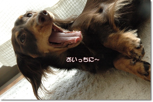souther_20091208e