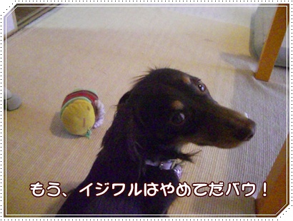 souther_20090228g