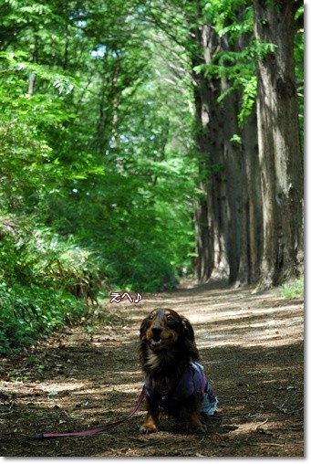 souther_20110518c