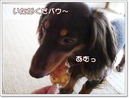 souther_20090717c