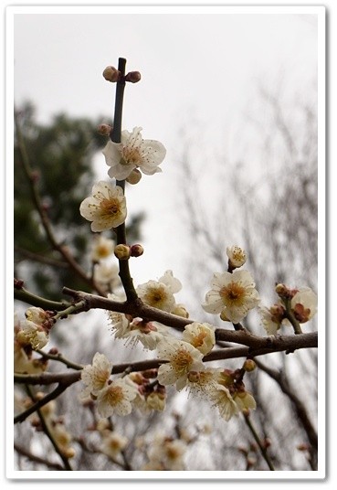 souther_20120331b