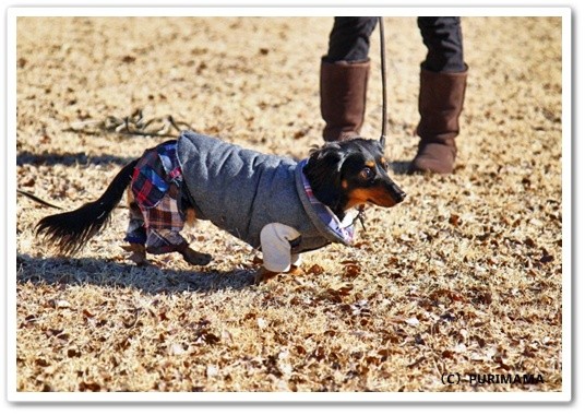 souther_20120317i