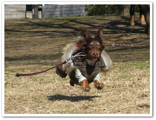 souther_20120214g