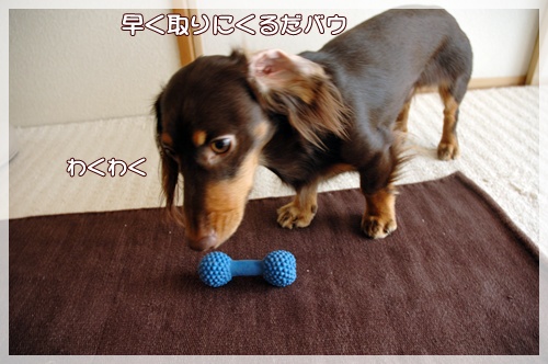 souther_20091109f