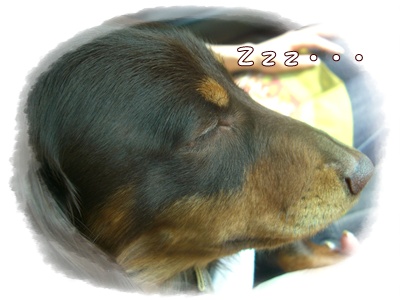 souther_20090405g