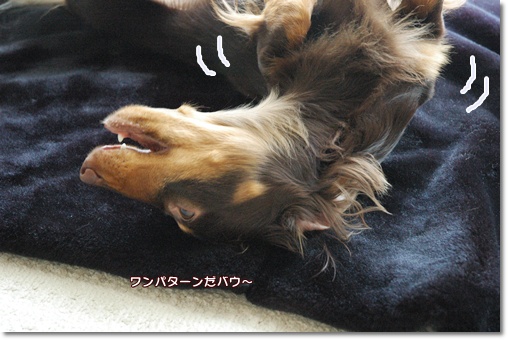 souther_20100615f