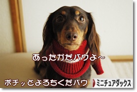 �ˤۤ�֥���¼ ���֥��� �ߥ˥��奢���å����ե�ɤ�