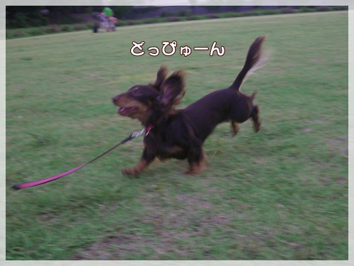 souther_20090827g
