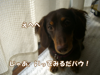 souther_20081115b