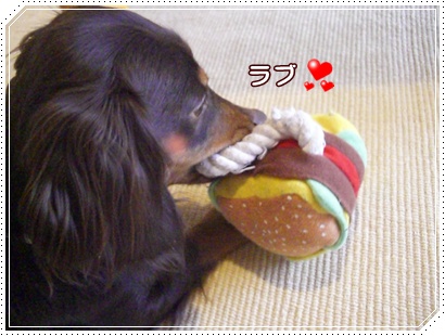 souther_20090228i