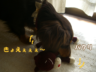 souther_20081229f