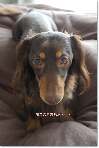 souther_20100429h