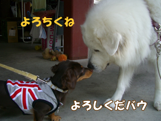 souther_20081106m