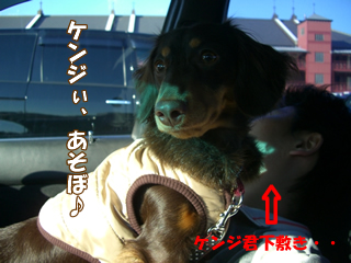 souther_20081201c
