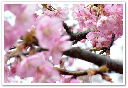 souther_20120331g