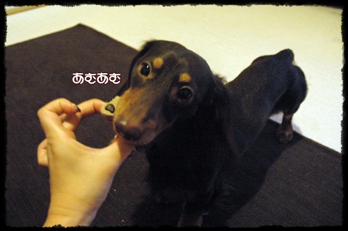 souther_20091225c