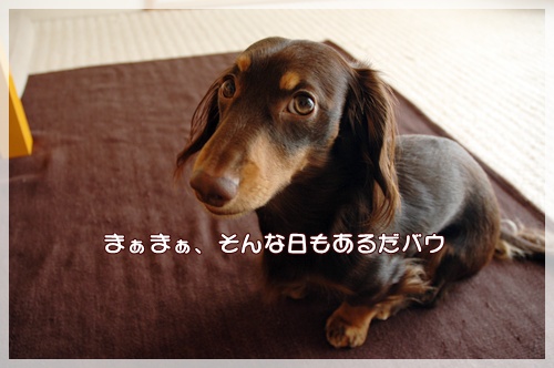 souther_20091109b