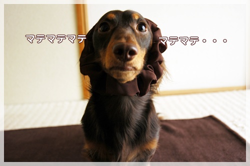 souther_20091108b