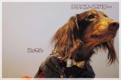 souther_20091125g