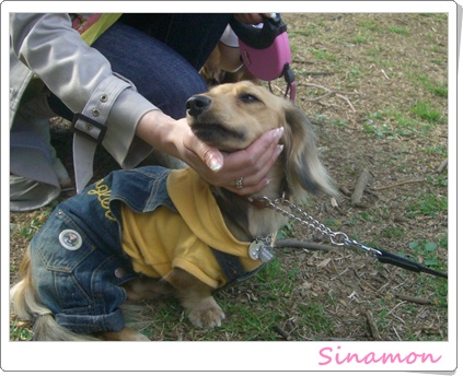 souther_20090406j
