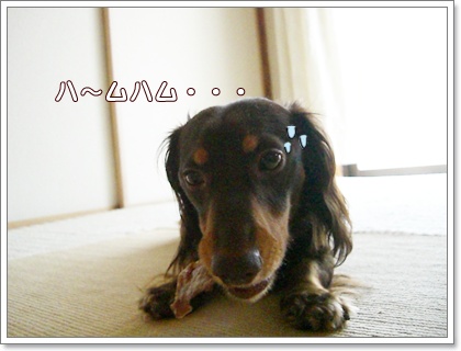 souther_20090717f