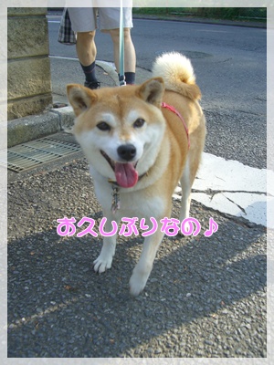 souther_20090831a
