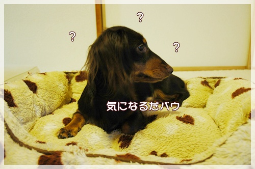 souther_20091112c