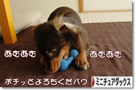 �ˤۤ�֥���¼ ���֥��� �ߥ˥��奢���å����ե�ɤ�